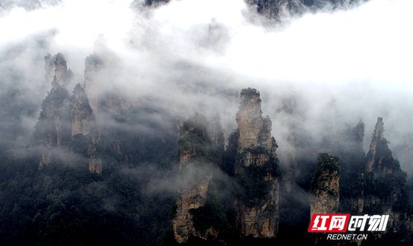 3月5日，雨后的湖南张家界武陵源风景区十里画廊，连绵峰林在云雾的点缀之下若隐若现，朦胧迷离，通过无人机从空中俯瞰宛若一幅徐徐展开的画卷。