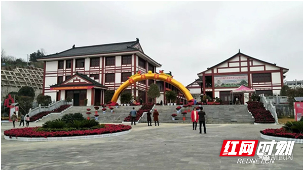 武冈市荷塘村：铸造一颗乡村振兴的璀璨明珠