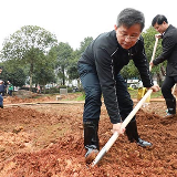 视频｜瞿海率队义务植树：增绿不只在公园 推窗见绿才是美