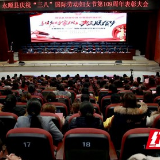 永顺举行“三八”表彰大会暨东西部协作公益讲座