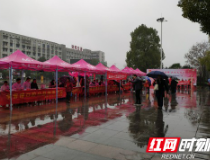 资阳：便民广场学雷锋 共创文明益阳城