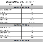 湖南证监局统计信息（2019年1月） 