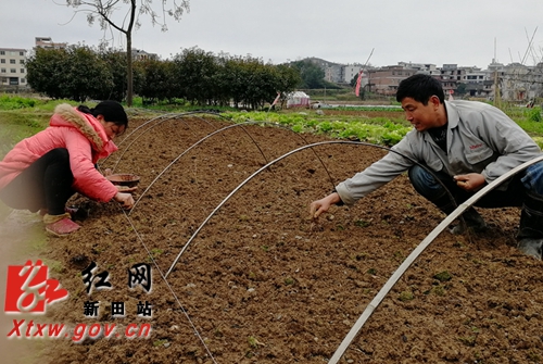 新田各地迎难而上忙春耕