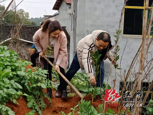 微信图片_20190305164623副本.jpg