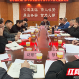 衡阳市组织部门强力推进扫黑除恶专项斗争