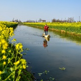 2019两会关键词：“乡村振兴”好风光