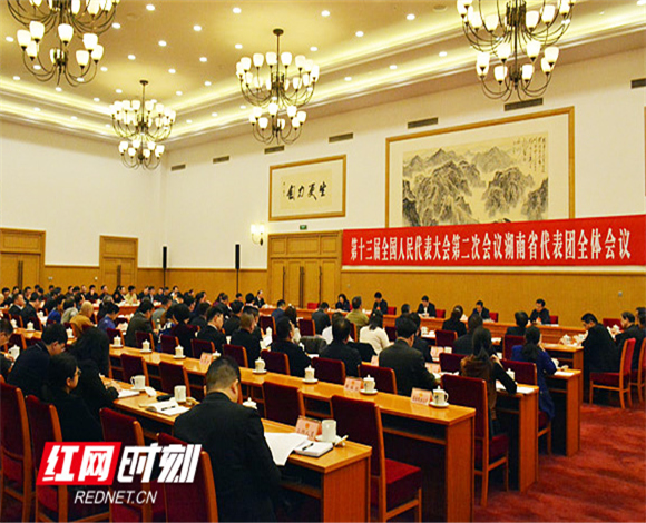 湖南代表团举行第一次全体会议 推选杜家毫为团长