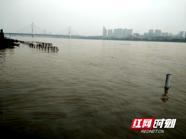 IMG_20190307_105923.jpg IMG_20190307_105923.jpg