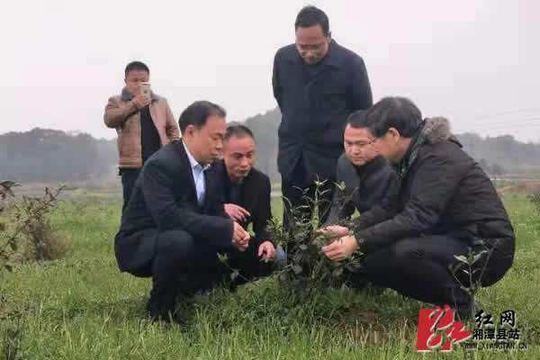 ????_20190307152929.jpg ????_20190307152929.jpg