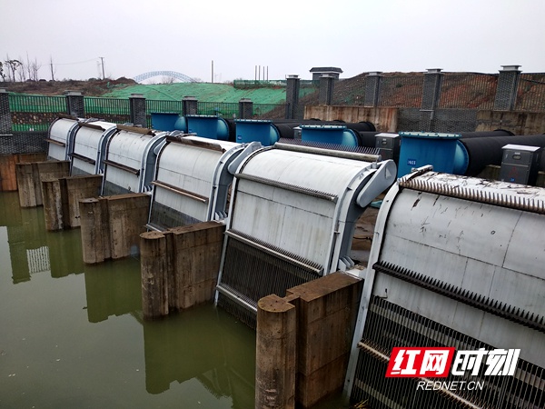 IMG_20190307_095956.jpg IMG_20190307_095956.jpg