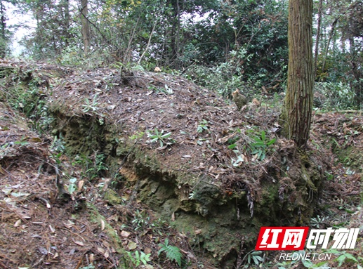 绥宁：三处湘西雪峰山会战旧址成为省级文物保护单位