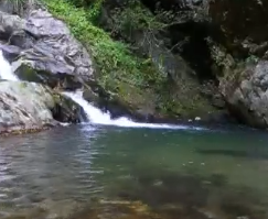 全国两会丨坚持生态环境保护 走绿水青山之路