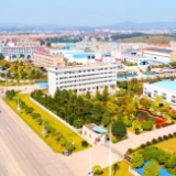 武冈加快产业项目建设促脱贫提质