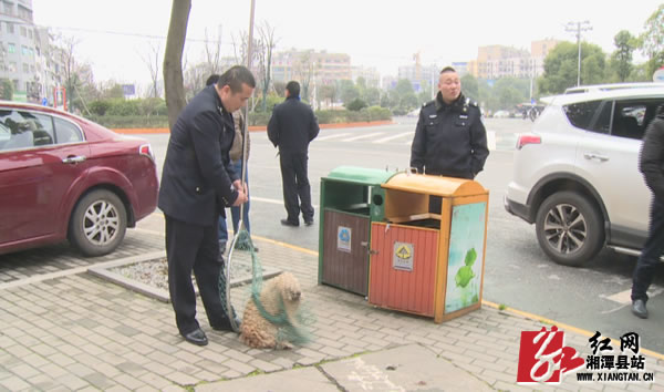 Still0308_00001.jpg Still0308_00001.jpg