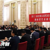 观潮解局丨透过开放日,看新思想领航时代的“大写意”与“工笔画”