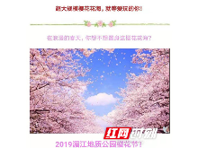 网传涟源湄江将举办樱花节？官方回应：系谣言