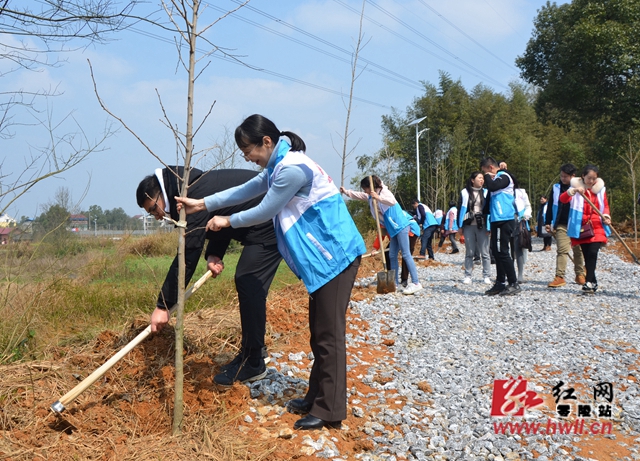 零陵区委办志愿服务队开展义务植树活动