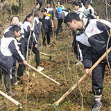  娄底二中组织学生开展义务植树活动