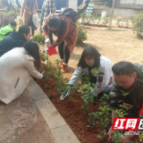 植廉树 写廉卡 共建廉洁心愿林