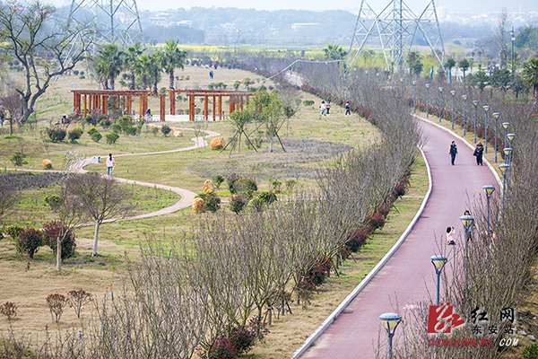 　　 3月11日，春日暖阳，位于东安县芦洪市镇的乡村振兴示范点——赵家井村，芦江环绕，花田绽放，天蓝地净，村民们生活休闲惬意，信步在如画的村庄，幸福感油然而生。