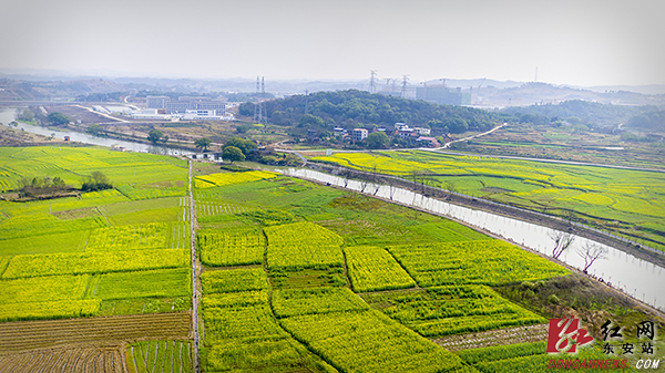 　　 3月11日，春日暖阳，位于东安县芦洪市镇的乡村振兴示范点——赵家井村，芦江环绕，花田绽放，天蓝地净，村民们生活休闲惬意，信步在如画的村庄，幸福感油然而生。