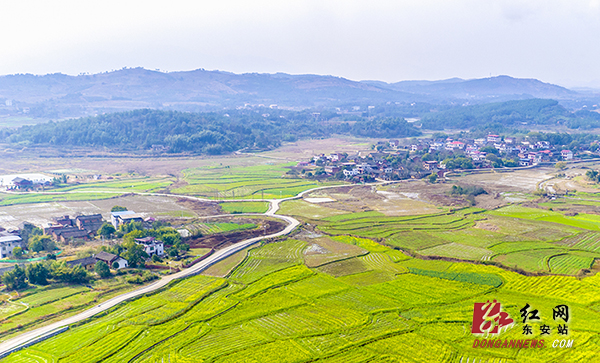 　　 3月11日，春日暖阳，位于东安县芦洪市镇的乡村振兴示范点——赵家井村，芦江环绕，花田绽放，天蓝地净，村民们生活休闲惬意，信步在如画的村庄，幸福感油然而生。