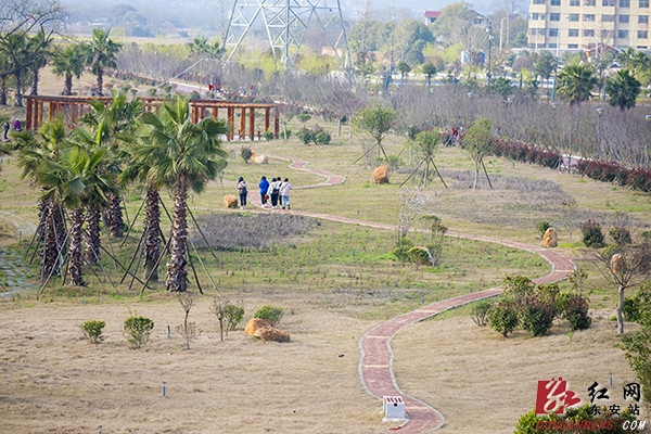 　　 3月11日，春日暖阳，位于东安县芦洪市镇的乡村振兴示范点——赵家井村，芦江环绕，花田绽放，天蓝地净，村民们生活休闲惬意，信步在如画的村庄，幸福感油然而生。