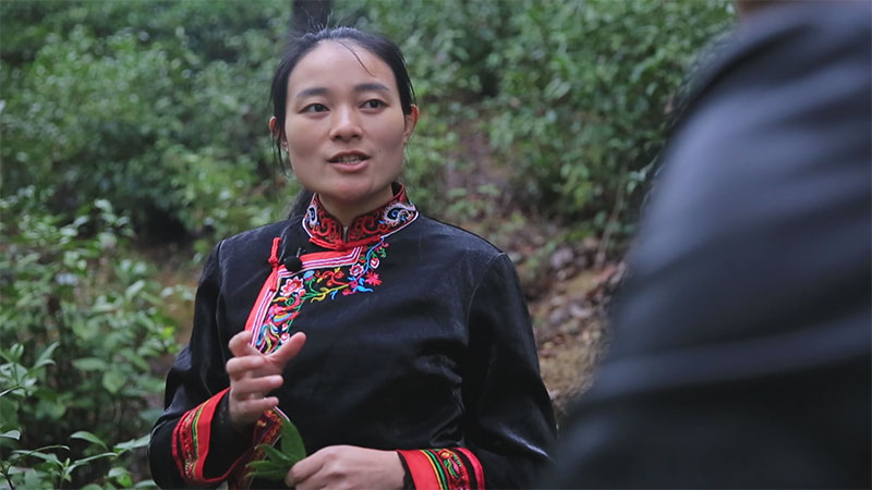 时政新闻眼丨在福建代表团,习近平围绕一个关键词讲了三件事