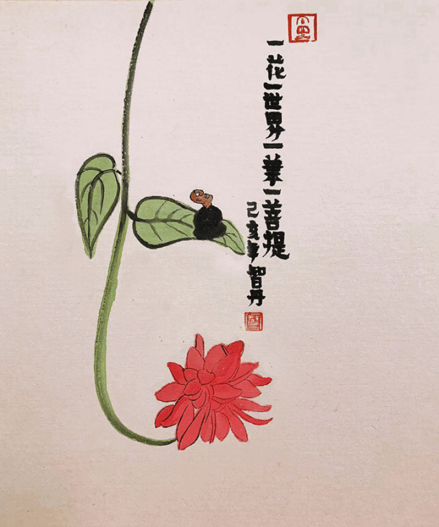 ????_20190311111518.gif