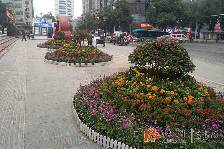 0db5ff0b-08fa-45c7-a1b1-03f08390c4c0.jpg