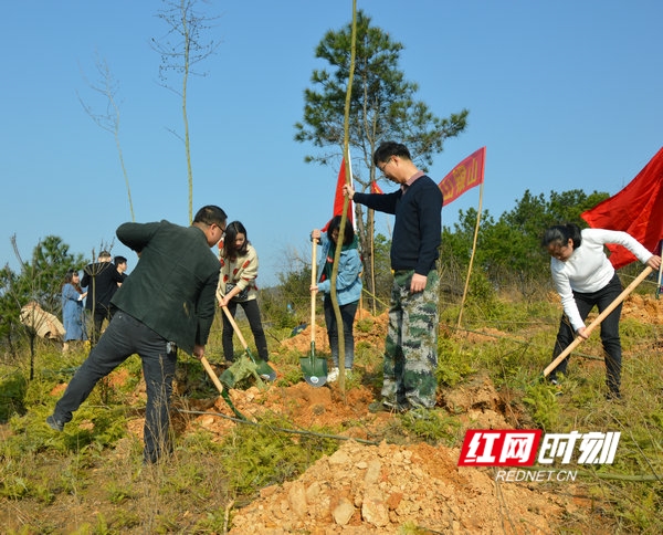 江华：春季植树绿化忙