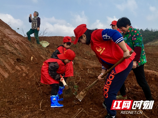 共青团邵阳县委开展义务植树活动