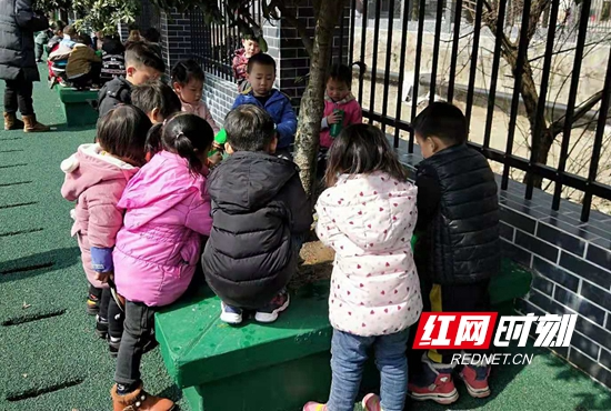 武陵源区天子山中心幼儿园开展“我为小树浇浇水”主题活动