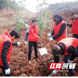 三月好春光 植树添绿意