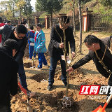 最是一年春好处 齐来种棵“家庭树”