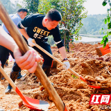 不负光阴不负春 长沙党员干部用绿色点染春天