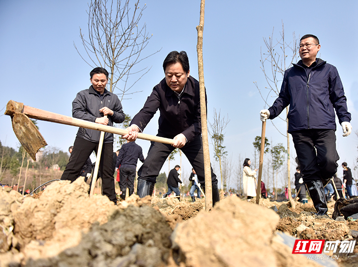 张家界市党员干部群众义务植树   助推“美丽乡村”建设