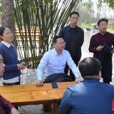 东安：县领导调研大棚房问题专项清理整治工作