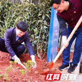 党建引领当先锋 义务植树助力蓝天保卫战