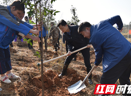 全民义务植树  祁东植树万余棵建设“生态祁东”