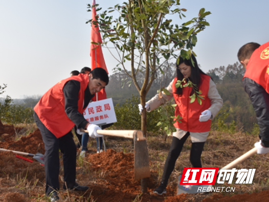 尽一份责任 播种一片绿色---邵阳市民政局开展义务植树活动