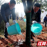 抗击雾霾植树造绿现蓝天 长株潭城市“绿心”再添新绿