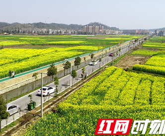 “丝绸之路”助力衡阳县第八届油菜花节