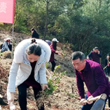 春暖花开植树去! “绿”动大瑶 满眼尽是好风光