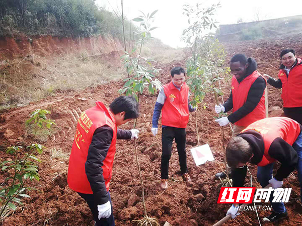 微信图片_20190312144901.jpg