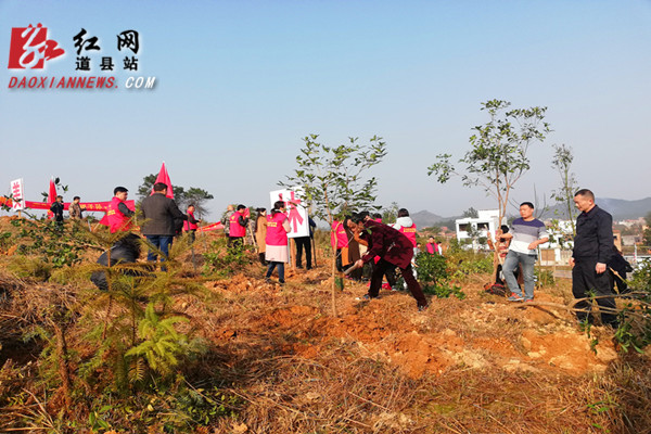 道县开展义务植树活动 全面推进生态建设
