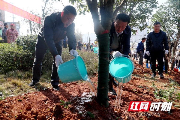 3月12日上午，天心区机关干部在绿心地区植树。.jpg