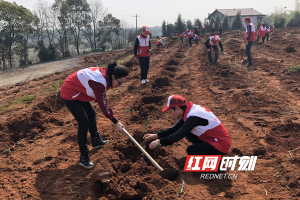 義務植樹春意濃 衡陽紅十字會志願者參加植樹護綠活動