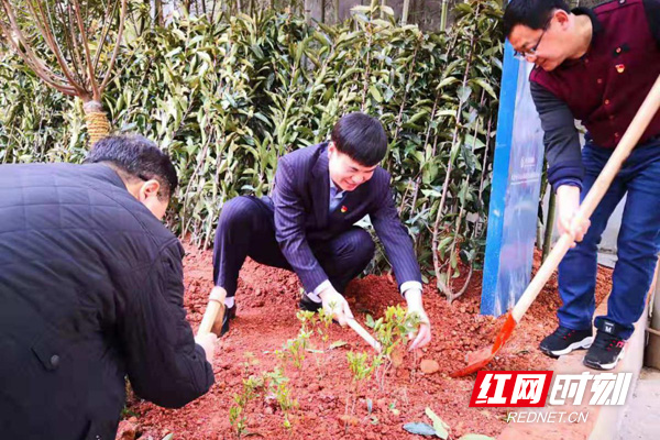 微信图片_20190312162437副本.jpg 微信图片_20190312162437副本.jpg