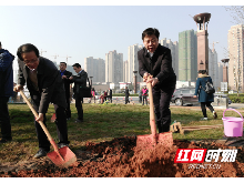 株洲：城市绿色发展理念引领绿心保护工作